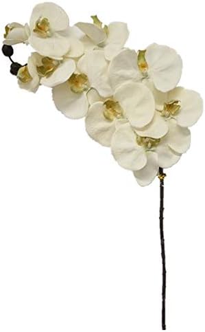 Sweet Home Deco 38 Inch Artificial Orchid with 10 Flower Heads