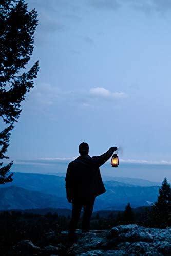 Stansport Replacement Lantern Wicks 5-Pack