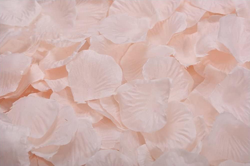 Ocharzy 3000pcs Silk Rose Petals for Wedding Decorations