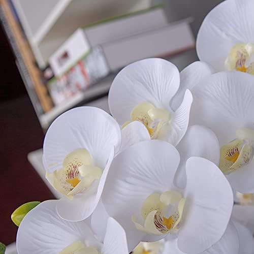 NatureMan Artificial Orchid Stems with Real Touch Petals