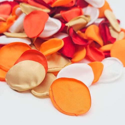 ZOOYOO 200Pcs Silk Rose Petals for Valentines Day Decorations