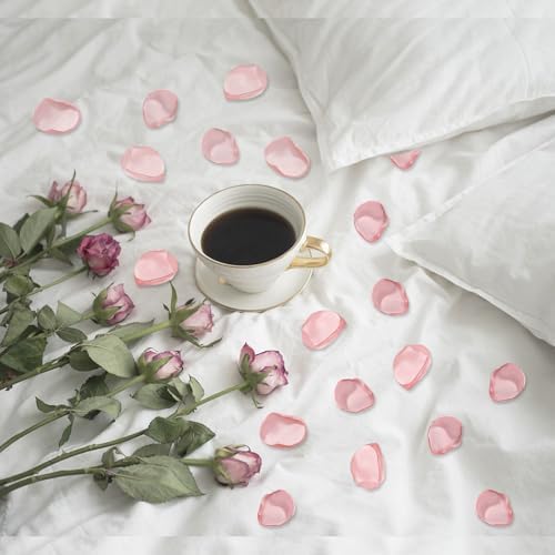 200pcs Silk Blush Pink Rose Petals for Wedding Decorations