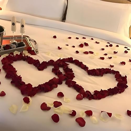 200Pcs Silk Rose Petals Burgundy for Valentine Decorations