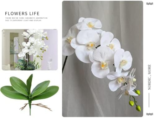 NatureMan Artificial Orchid Stems with Real Touch Petals