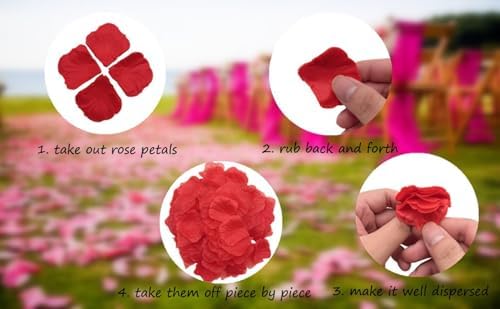 Starmimi Ivory Rose Petals for Romantic Occasions 1000pcs
