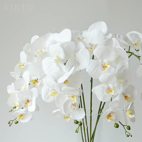 NatureMan Artificial Orchid Stems with Real Touch Petals