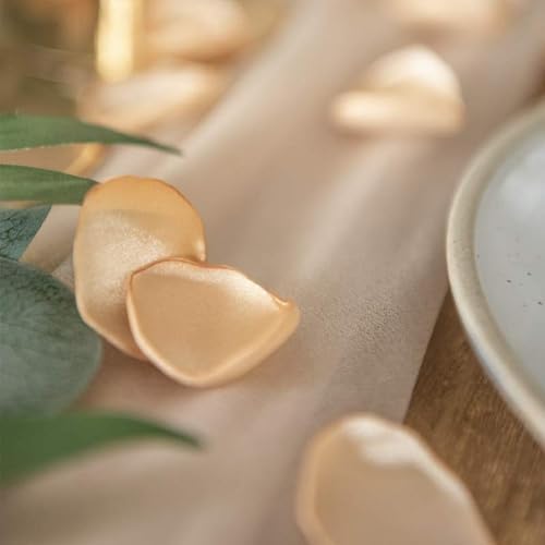 200pcs Silk Rose Petals for Wedding Decoration Champagne