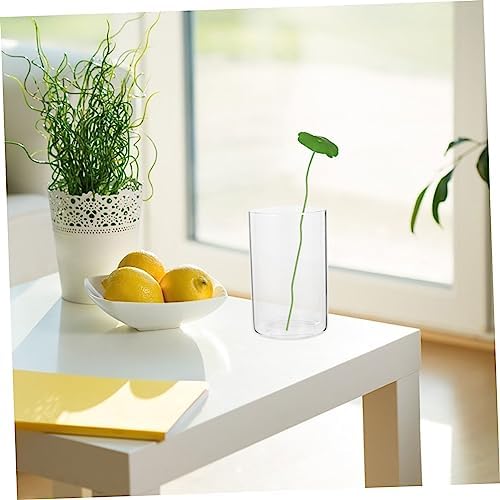 3Pcs Glass Cylinder Vase for Flowers and Decor 1
