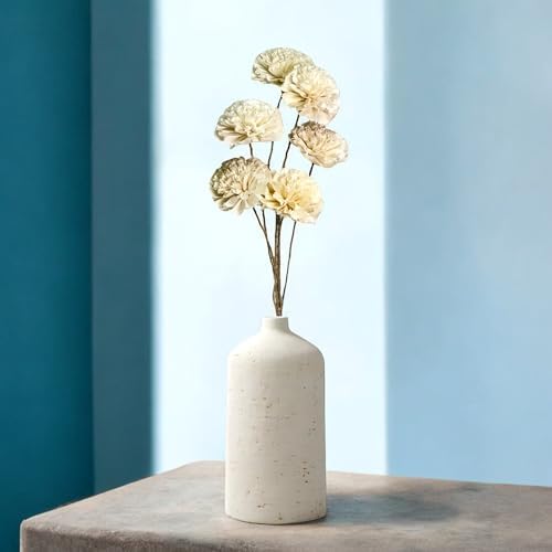 Organic Sola Wood Carnation Flower Branch Bouquet - 6 Stems