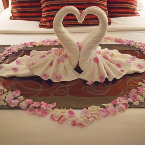 240 PCS Real Pink White Rose Petals Confetti for Wedding