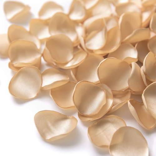 200pcs Silk Rose Petals for Wedding Decoration Champagne