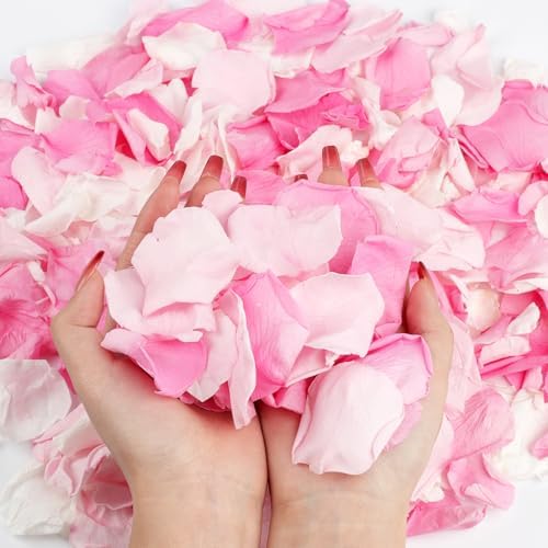 240 PCS Real Pink White Rose Petals Confetti for Wedding