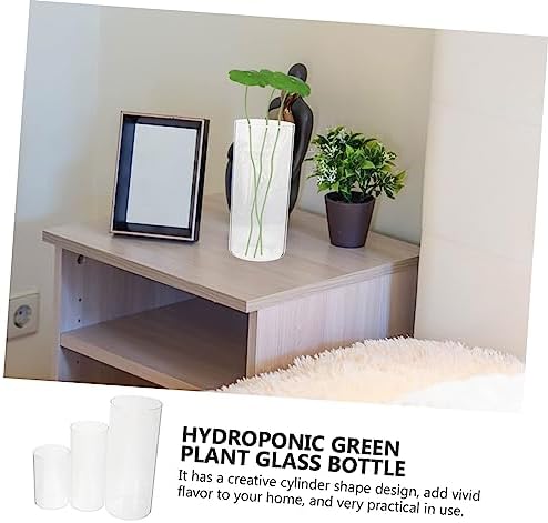 3Pcs Glass Cylinder Vase for Flowers and Decor 1