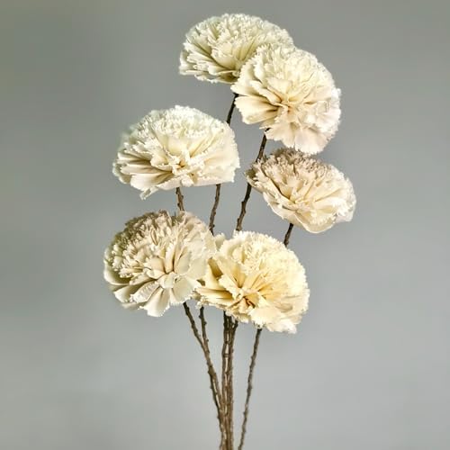 Organic Sola Wood Carnation Flower Branch Bouquet - 6 Stems