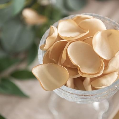 200pcs Silk Rose Petals for Wedding Decoration Champagne