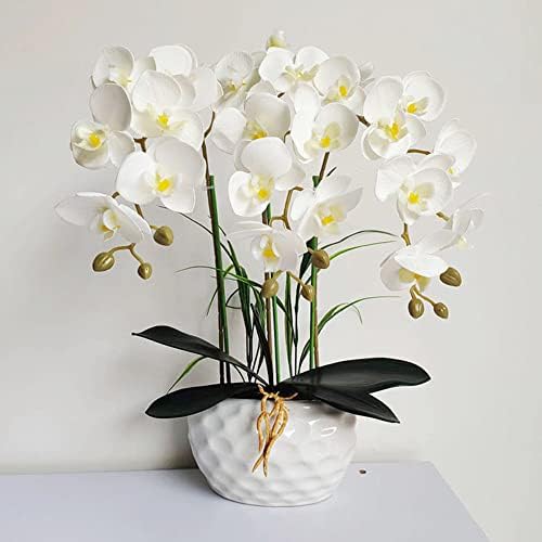 NatureMan Artificial Orchid Stems with Real Touch Petals