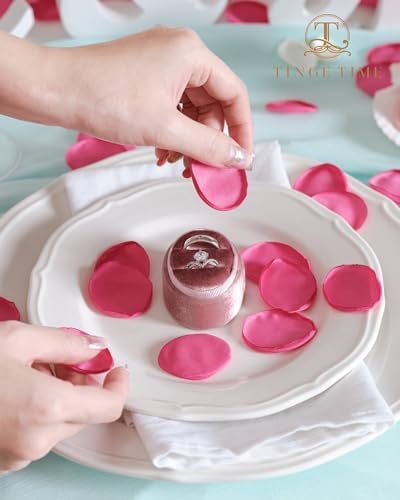 TINGE TIME Hot Pink Artificial Rose Petals 200pcs