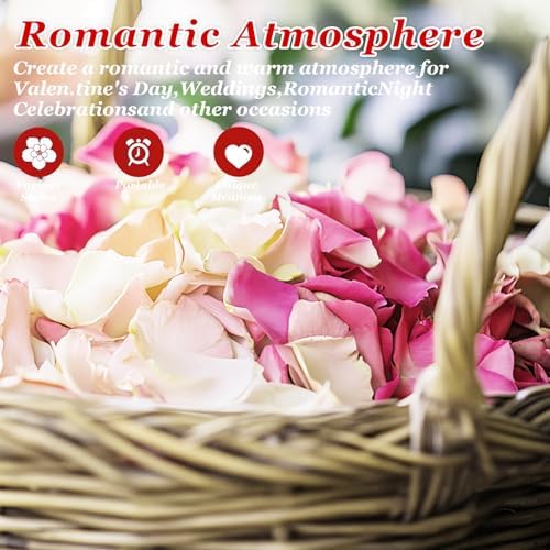 240 PCS Real Pink White Rose Petals Confetti for Wedding
