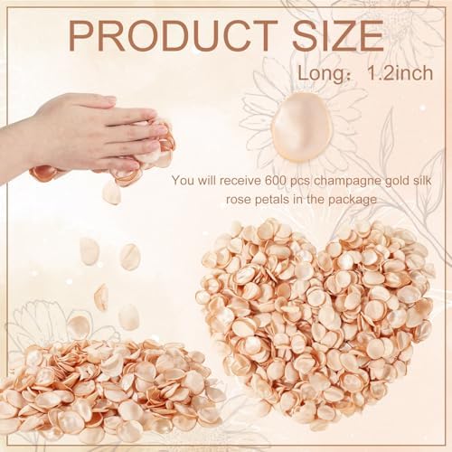 Whaline Champagne Gold Rose Petals 600Pcs Set