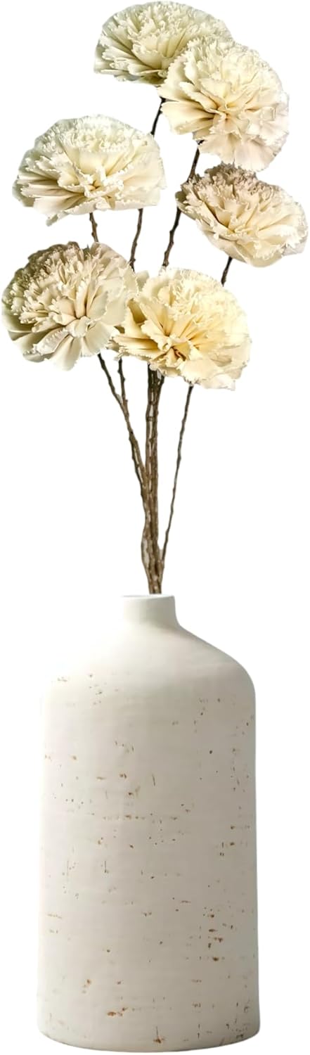 Organic Sola Wood Carnation Flower Branch Bouquet - 6 Stems