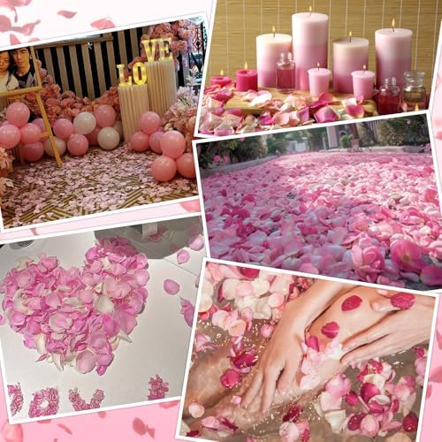 240 PCS Real Pink White Rose Petals Confetti for Wedding