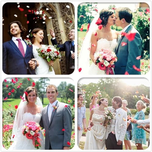 Starmimi Ivory Rose Petals for Romantic Occasions 1000pcs