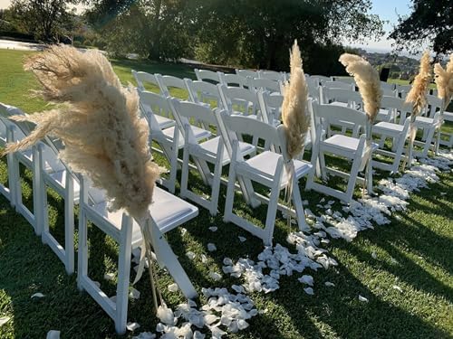 4000 Pcs Silk Rose Petals Wedding Decor