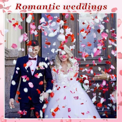 240 PCS Real Pink White Rose Petals Confetti for Wedding