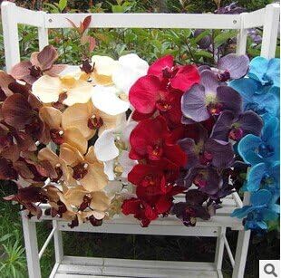 Sweet Home Deco 38 Inch Artificial Orchid with 10 Flower Heads