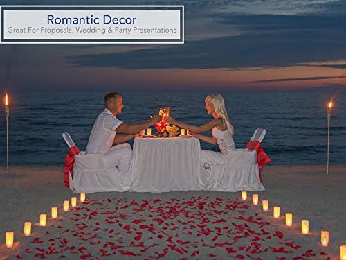Royal Imports Artificial Ivory Silk Rose Petals 1000 PCS