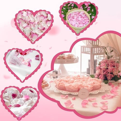 240 PCS Real Pink White Rose Petals Confetti for Wedding