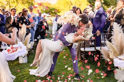 4000 Pcs Silk Rose Artificial Petals Wedding Decor