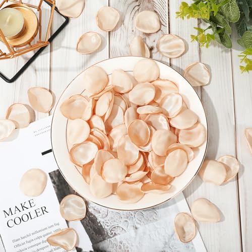 Whaline Champagne Gold Rose Petals 600Pcs Set
