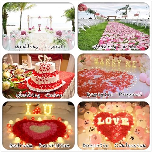 Starmimi Ivory Rose Petals for Romantic Occasions 1000pcs