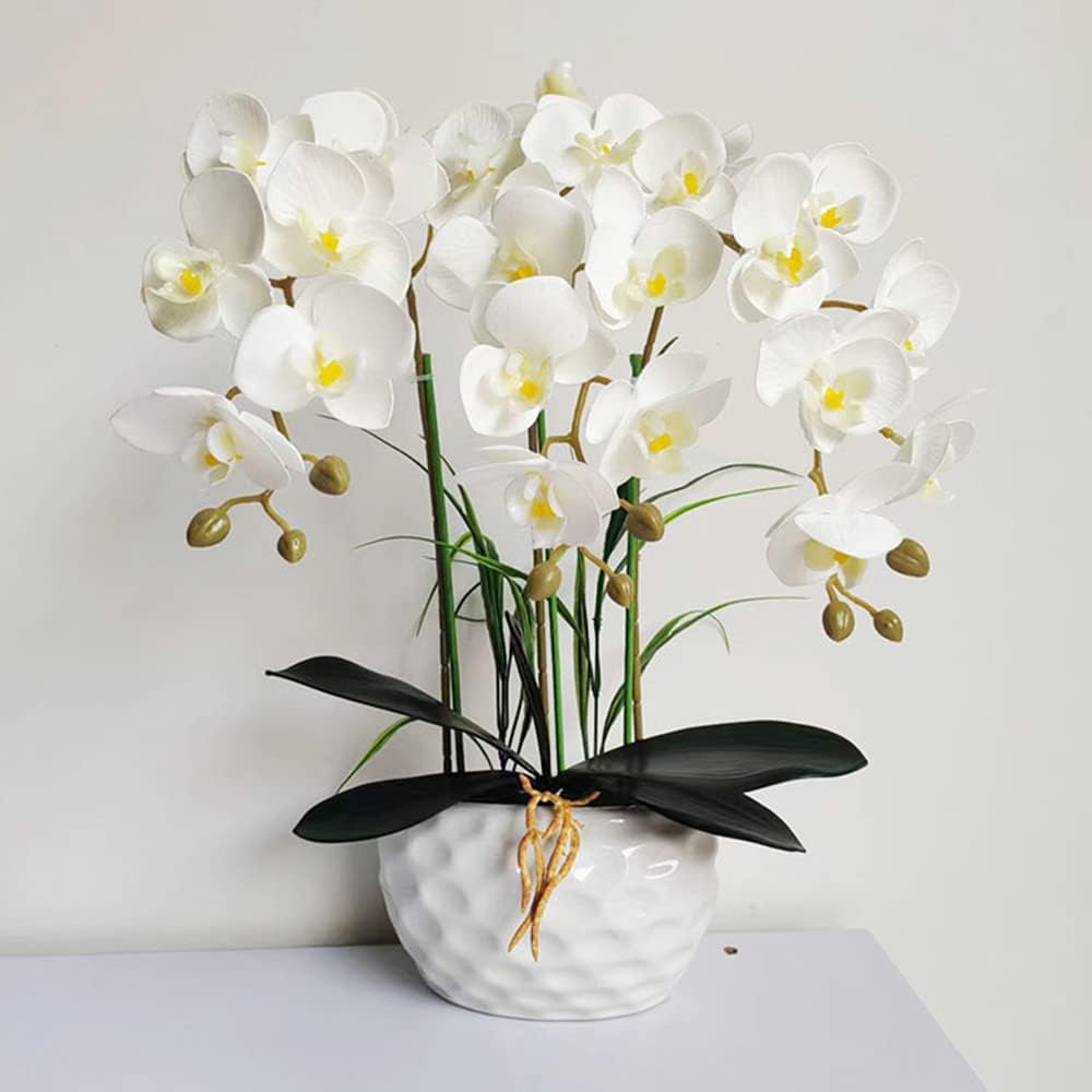 NatureMan Artificial Orchid Stems with Real Touch Petals