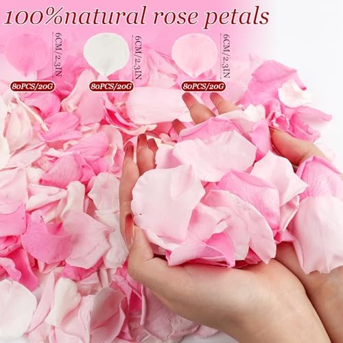 240 PCS Real Pink White Rose Petals Confetti for Wedding