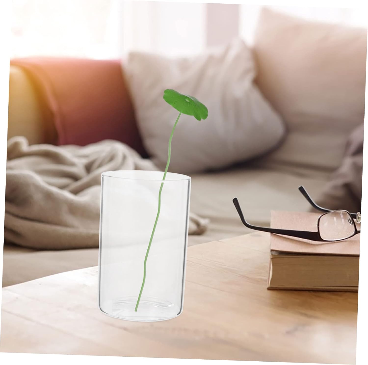 3Pcs Glass Cylinder Vase for Flowers and Decor 1