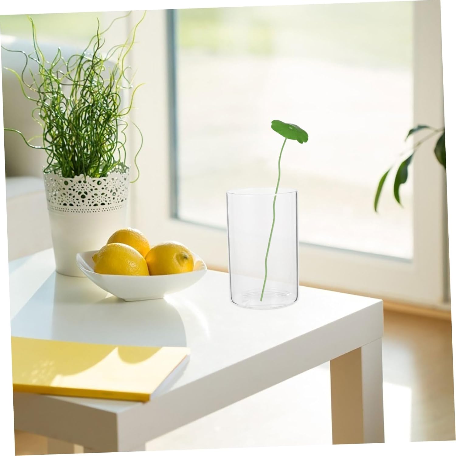 3Pcs Glass Cylinder Vase for Flowers and Decor 1