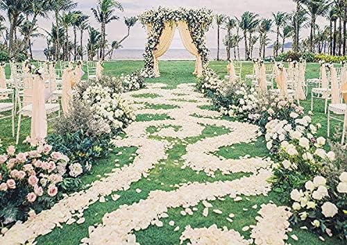 Ocharzy 3000pcs Silk Rose Petals for Wedding Decorations