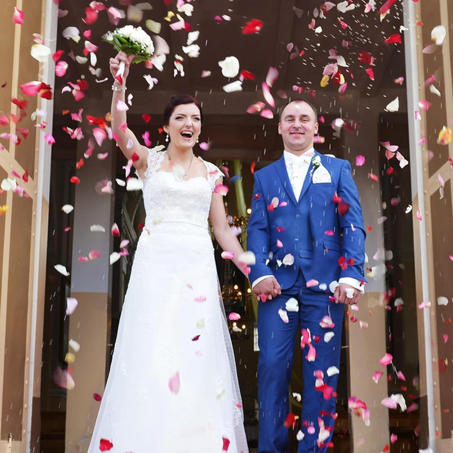 240 PCS Real Pink White Rose Petals Confetti for Wedding
