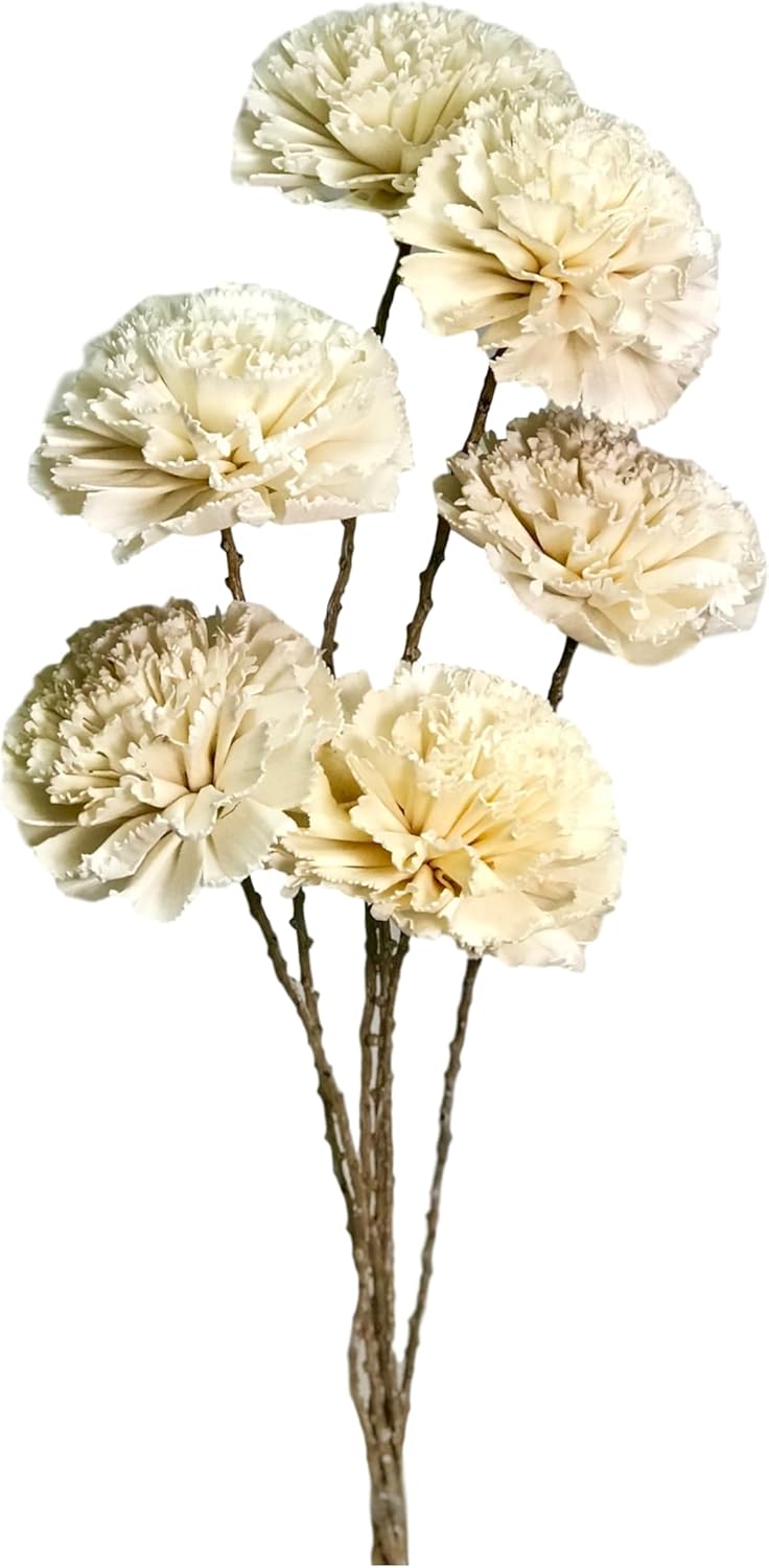 Organic Sola Wood Carnation Flower Branch Bouquet - 6 Stems