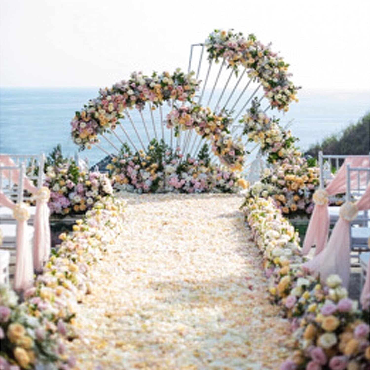 Ocharzy 3000pcs Silk Rose Petals for Wedding Decorations