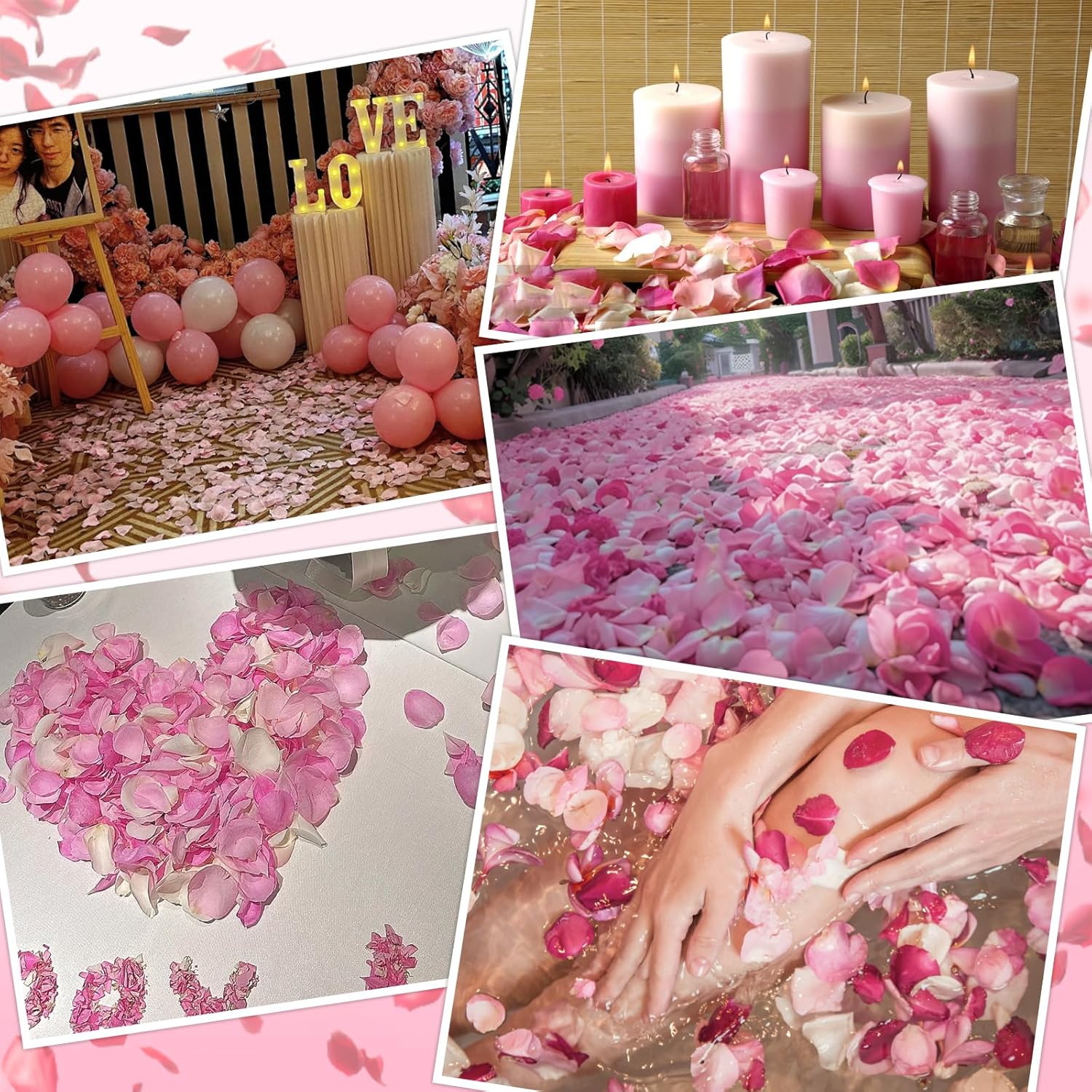 240 PCS Real Pink White Rose Petals Confetti for Wedding