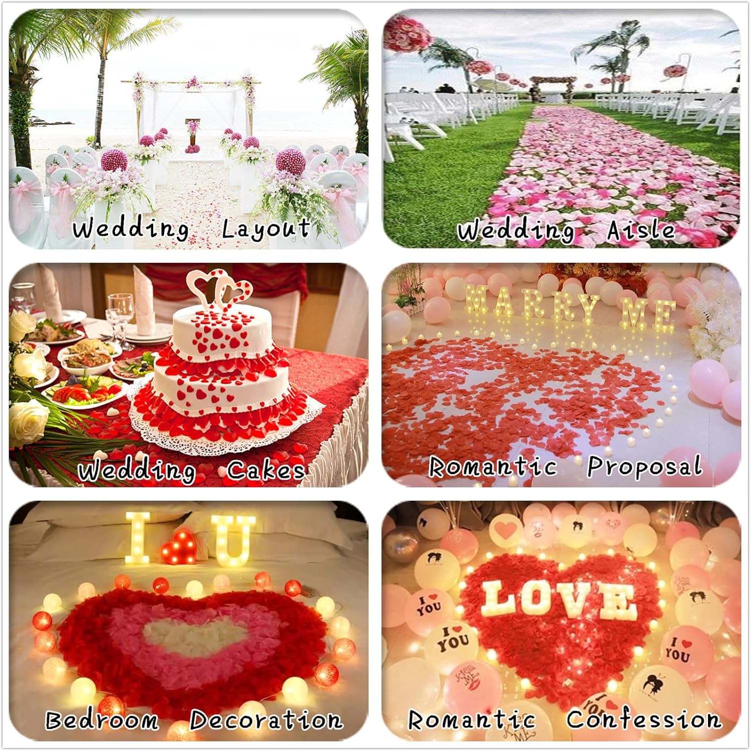 Starmimi Ivory Rose Petals for Romantic Occasions 1000pcs