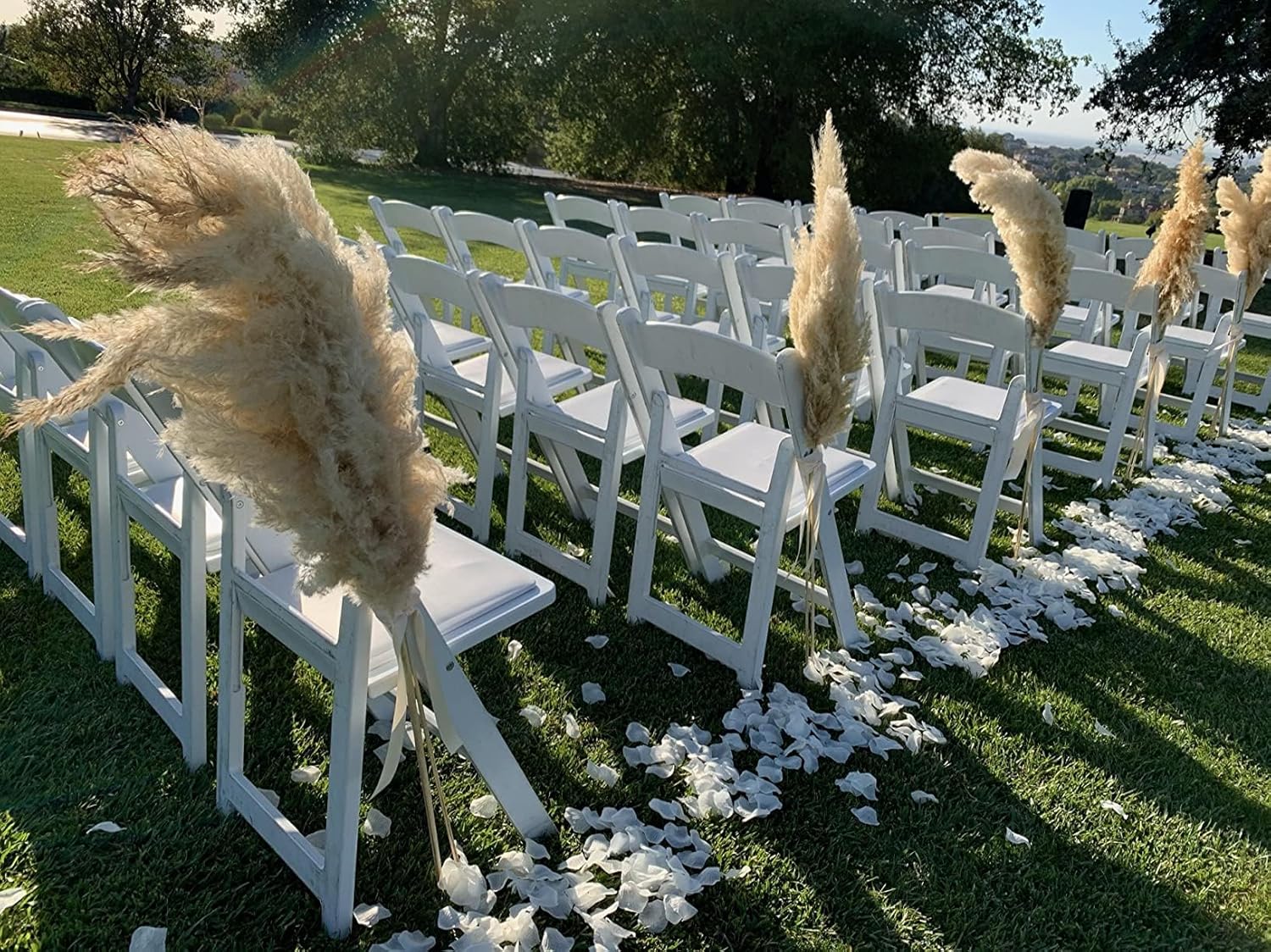 4000 Pcs Silk Rose Petals Wedding Decor