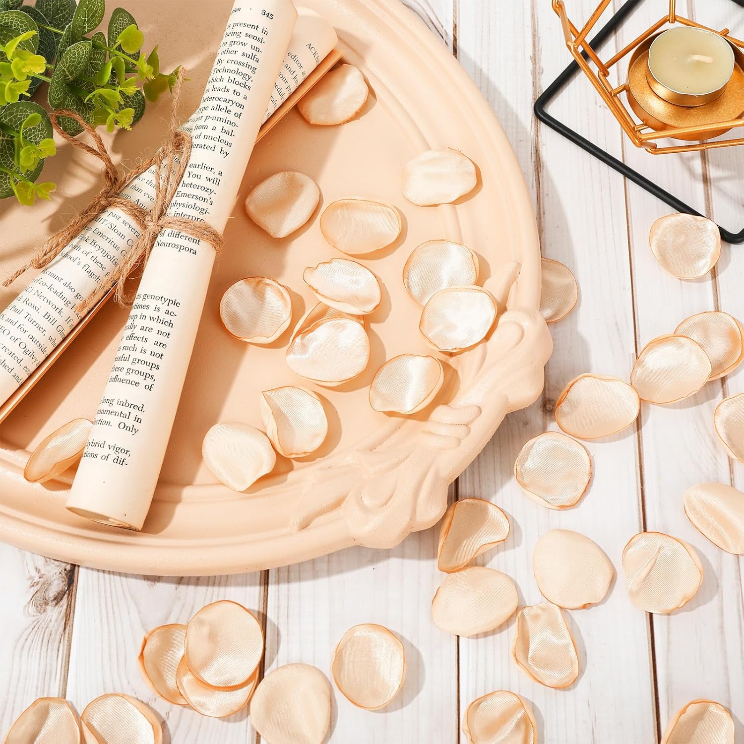 Whaline Champagne Gold Rose Petals 600Pcs Set