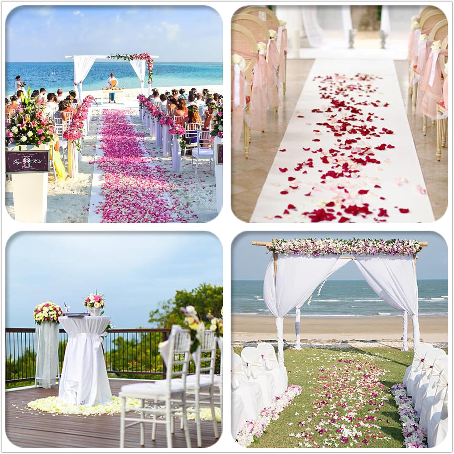 Starmimi Ivory Rose Petals for Romantic Occasions 1000pcs