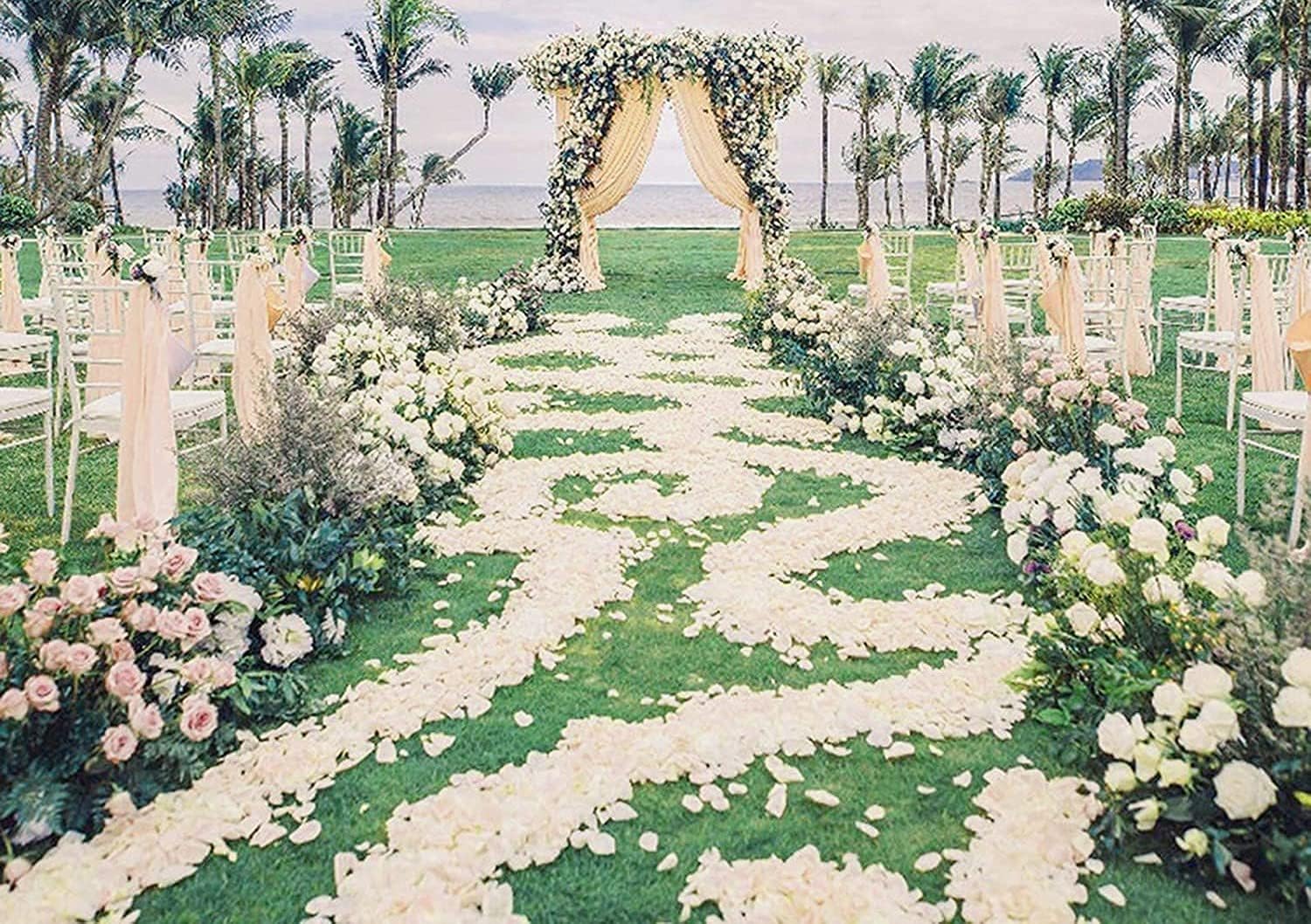 Ocharzy 3000pcs Silk Rose Petals for Wedding Decorations