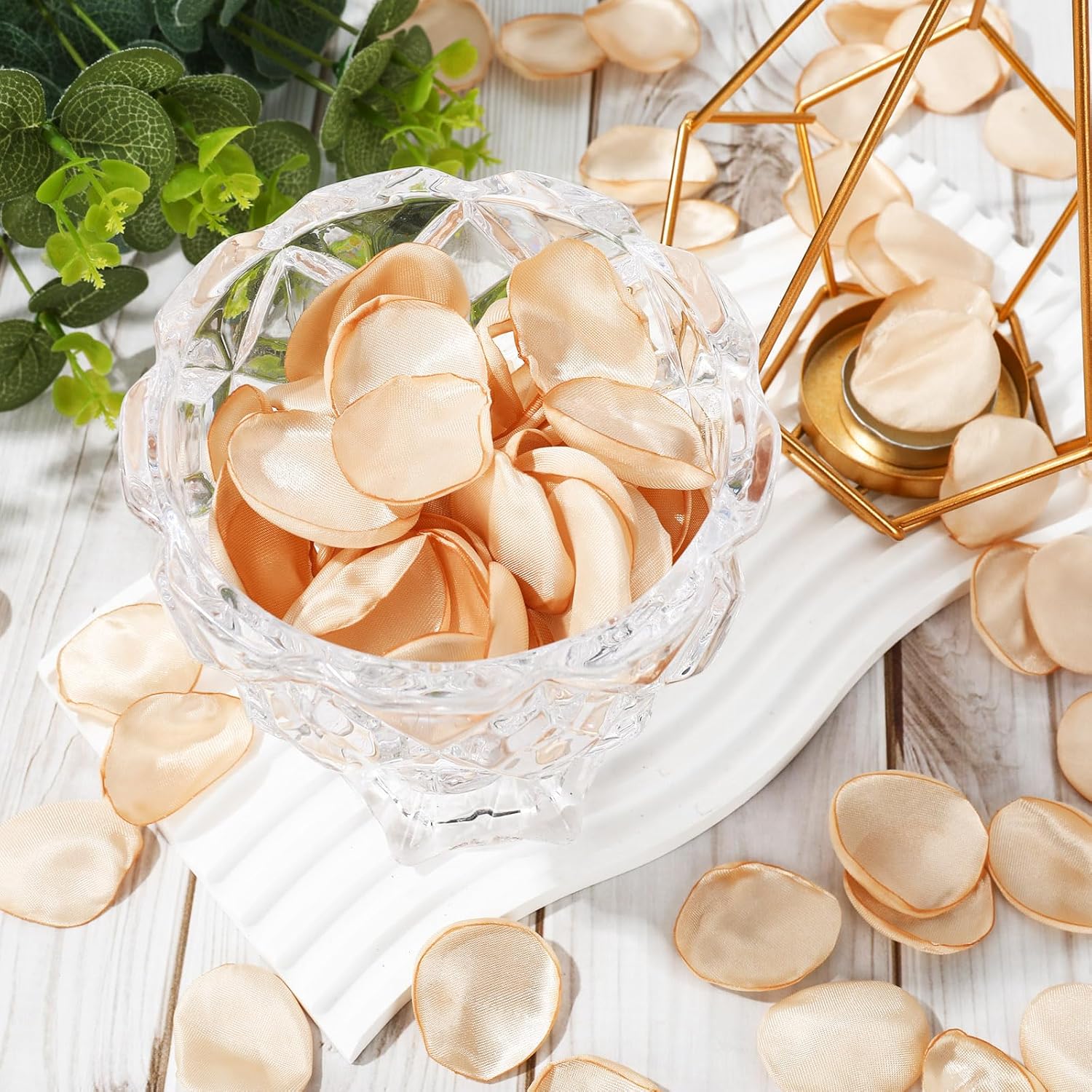 Whaline Champagne Gold Rose Petals 600Pcs Set